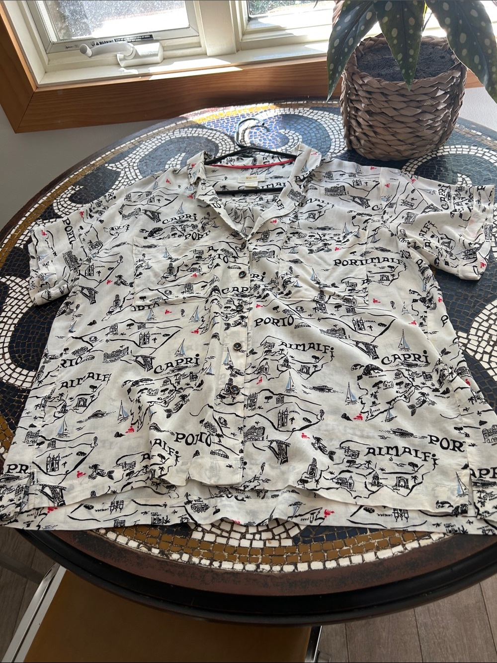Geographical button down